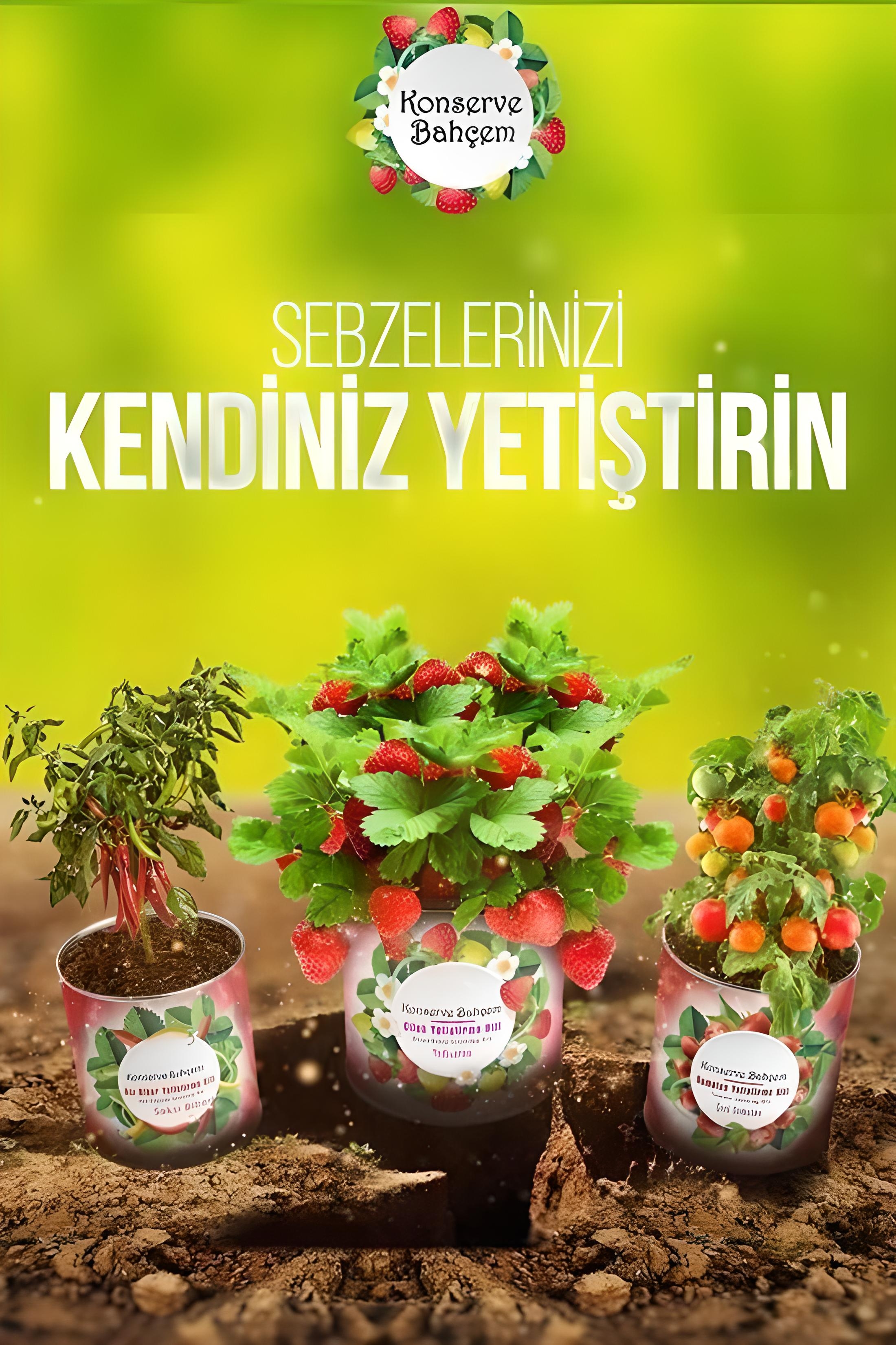 Konserve%20Bahçem%20Evde%20Konservede%20İri%20Yapraklı%20Kıvırcık%20Yetiştirme%20Kiti