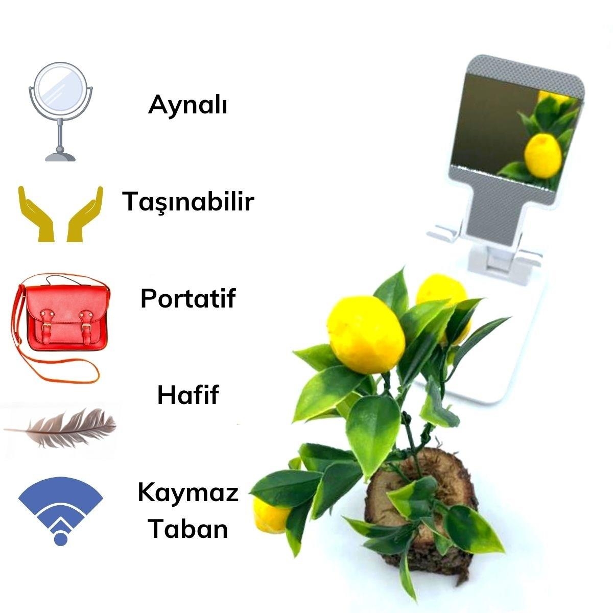 Siyah%20Aynalı%20Cep%20Telefonu%20Sabitleyici%20Stand%20Katlanabilir%20Ayarlanabilir%20Telefon%20Standı