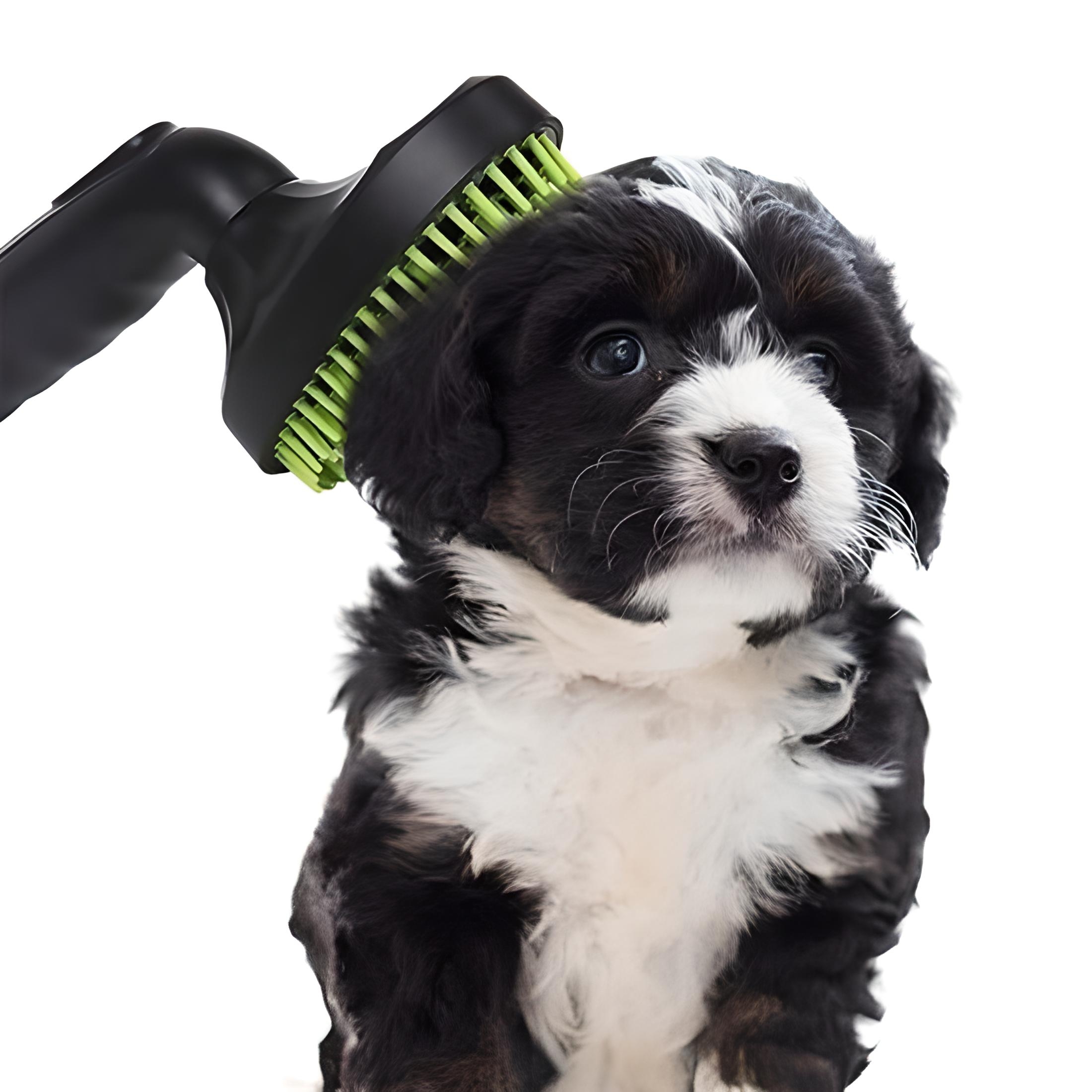 Süpürgeye%20Takılabilir%20Ergonomik%20Kedi%20Köpek%20Tüy%20Tarama%20Fırçası