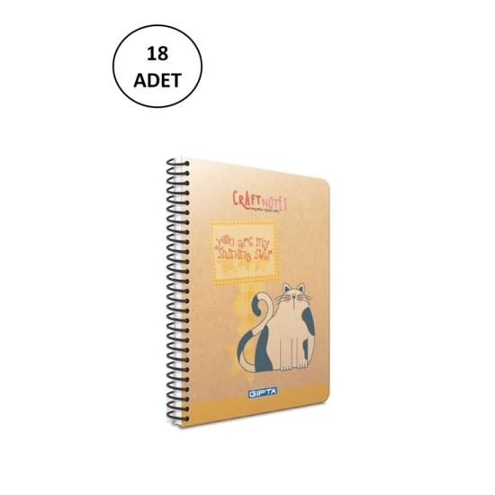 gipta-craft-notes-a6-100-yaprak-kareli-sert-kapak-bloknot-18-adet